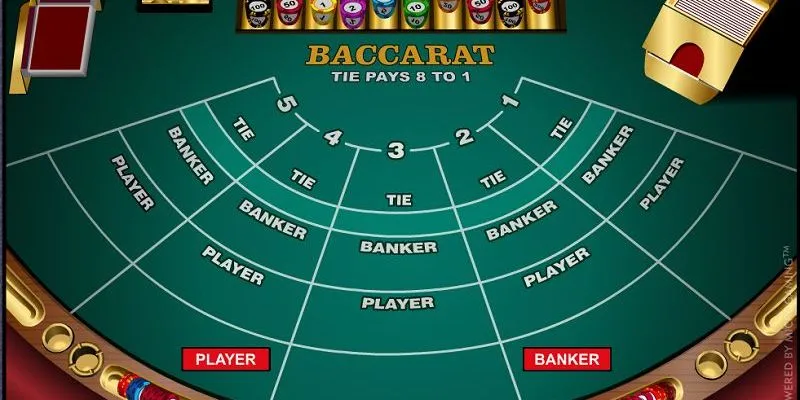 Các thuật ngữ trong luật chơi baccarat