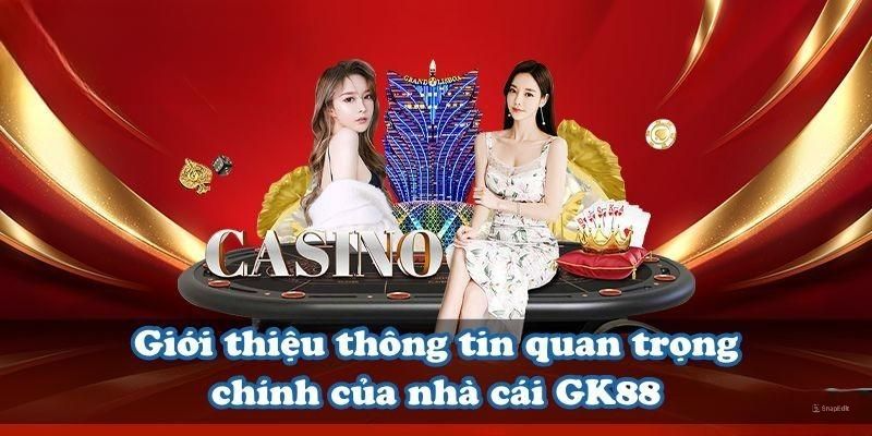 Thông tin sơ lược giới thiệu về giấy phép hoạt động