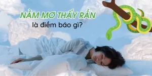 Mơ thấy rắn là điềm gì