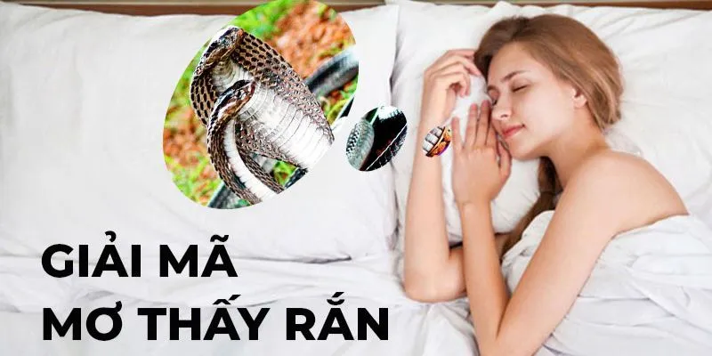 Thông tin mơ thấy rắn là điềm gì