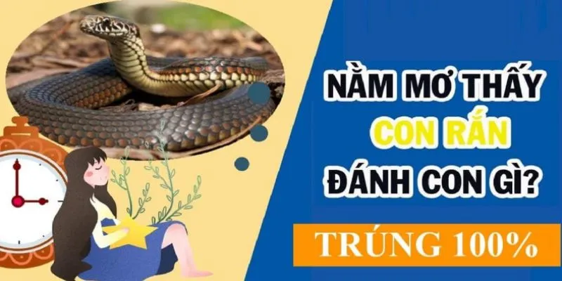 Thông tin giải đáp nằm mơ thấy rắn đánh số gì