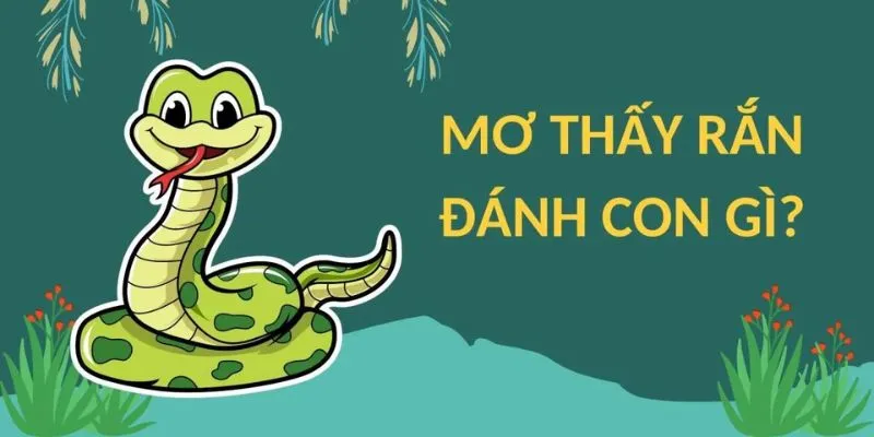 Xác suất đánh số khi mơ thấy rắn